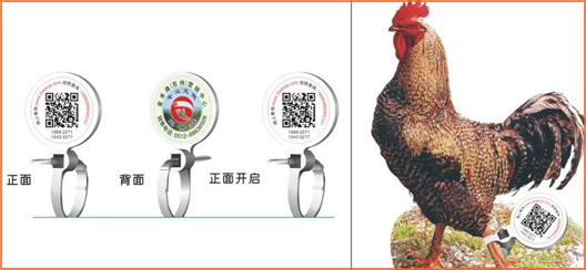 家禽溯源吊牌好色先生入口標簽,消除食品安全隱患
