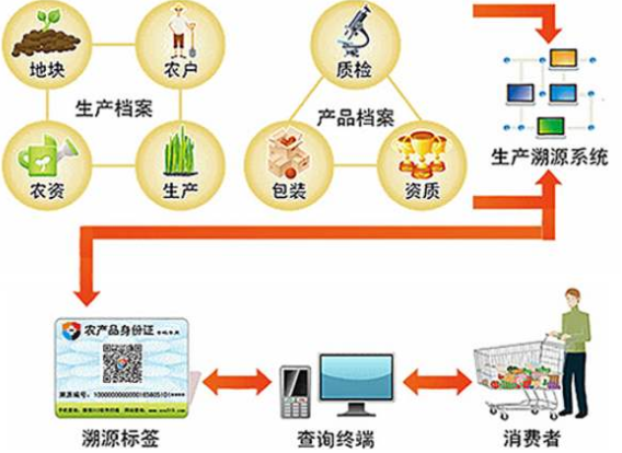水稻種植可追溯係統有哪些環節及優勢。