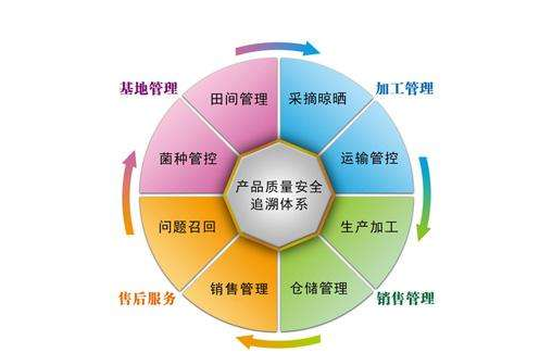 產品追溯係統有哪些公司，是怎樣開發係統的？