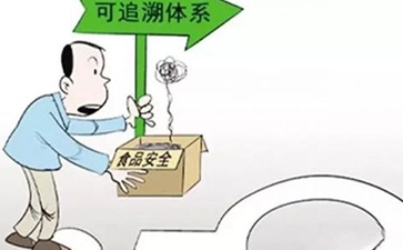 怎樣實現蔬菜的來龍去脈，追根溯源