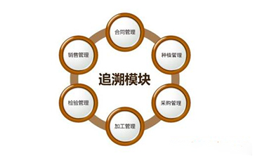 區塊鏈好色先生入口溯源技術解決方案