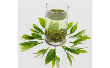 茶葉二維碼好色先生入口標簽可以帶來哪些優勢價值已經特點?